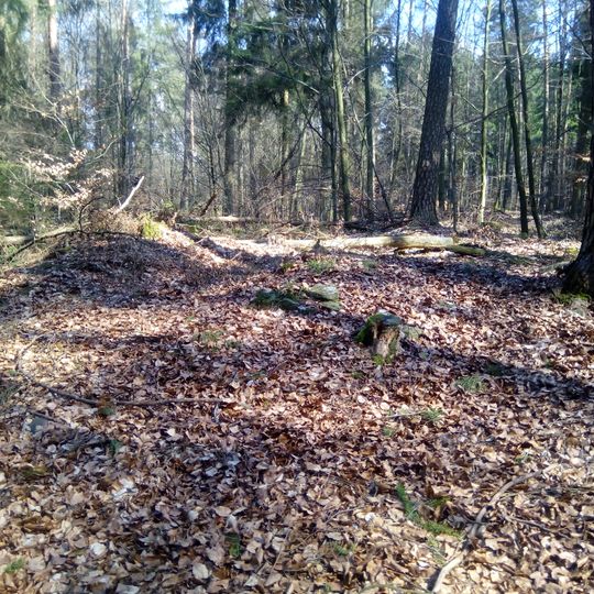 Tannenwald watchtower