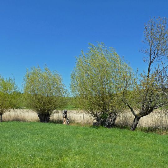 Kurzer Wasen-Roter Wasen