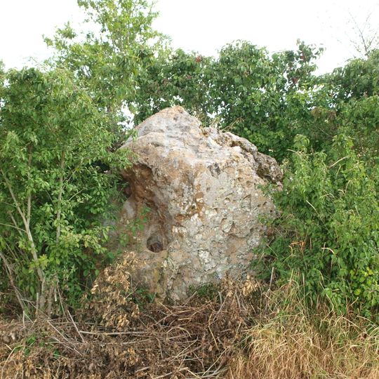La Pierre-Fitte à Aillant-sur-Tholon