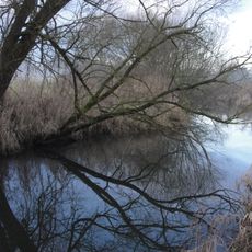 Schutz der Paarauen im Gebiet der Stadt Schrobenhausen, Stadtteil Mühlried und der Gemeinde Waidhofen
