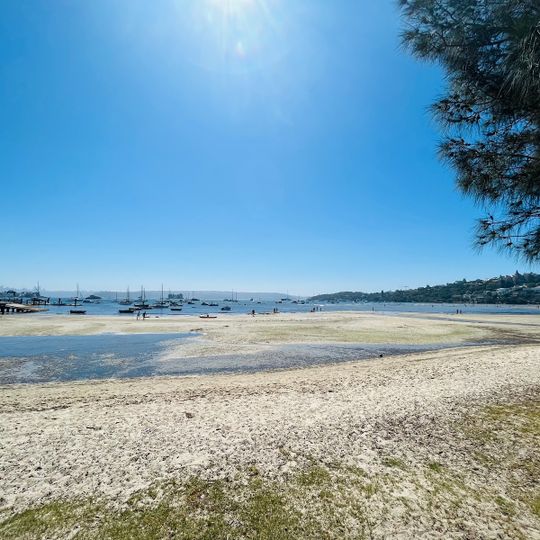 Rose Bay Beach