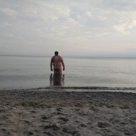 Hanlan's Point Beach