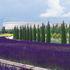 Krasnodar