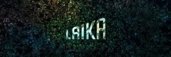 Missing Link Profile Cover