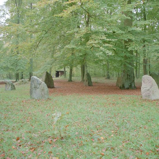 Steintanz von Boitin