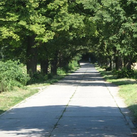 Park dworski z aleją dojazdową