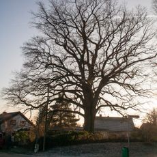 Unterhaidelsbacher Huteiche