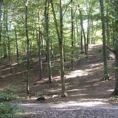 Kelsterbacher Terrasse