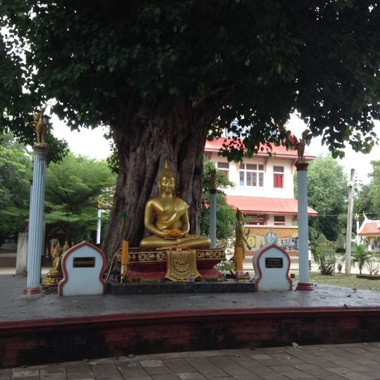 Wat Thamma Thip Thai
