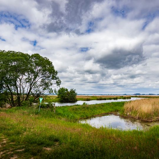 Dümmer, Hohe Sieben und Ochsenmoor