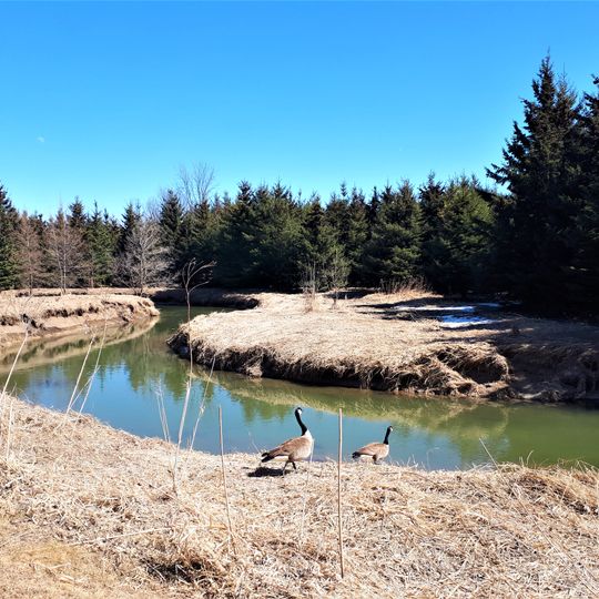 Wesley Brooks Memorial Conservation Area
