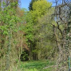 Hartenberg/Steincheswiese