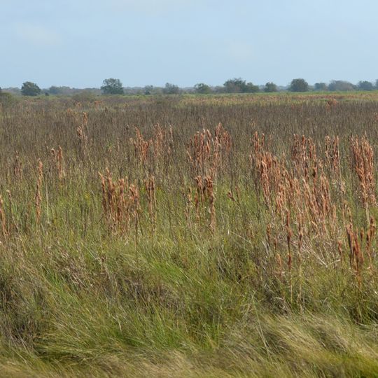 San Bernard National Wildlife Refuge
