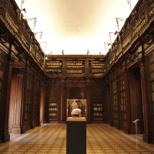 Biblioteca Lucchesiana