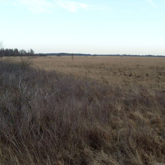 Tetenhusener Moor