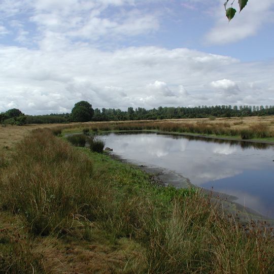 Natura 2000–Naturschutzgebiet in der unteren Haseniederung