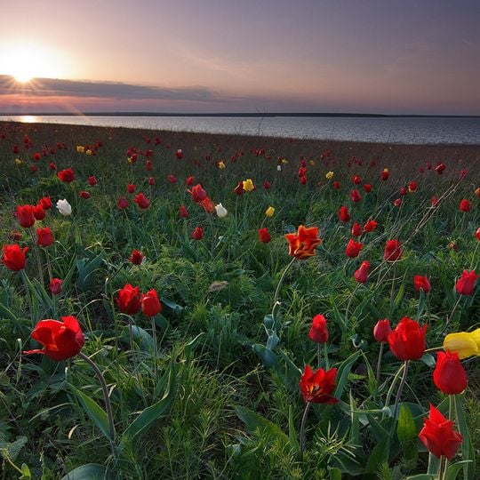 Iki-Burulsky District