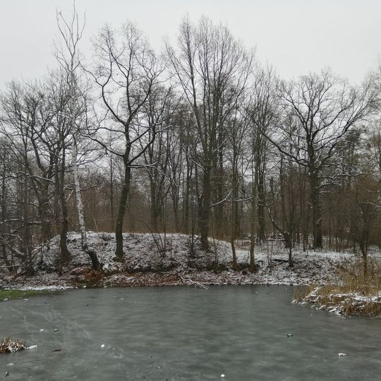 Gródek stożkowaty w Zabrzu-Rokitnicy