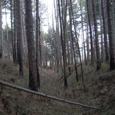 Befestigte Höhensiedlung Schlossberg
