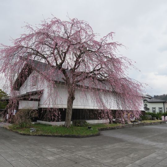 Tourist Information Center Kakunodate