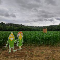 Pop Corn Labyrinthe Urrugne - Labyrinthe Géant