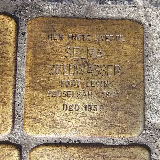 Stolperstein dedicated to Selma Goldwasser, f. Levin