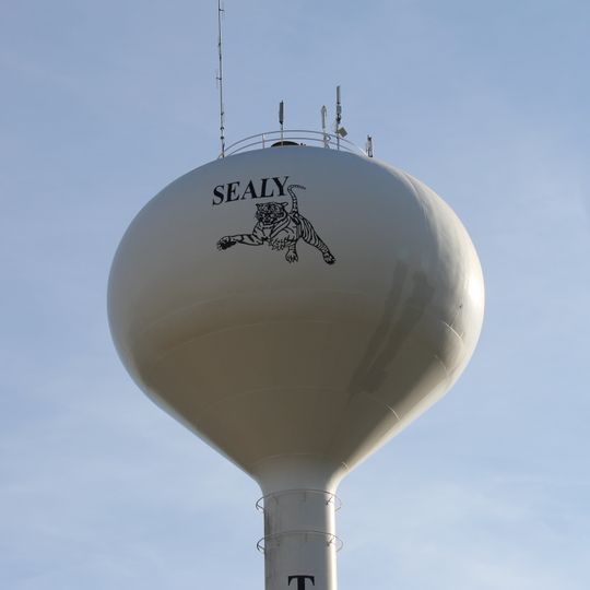 Sealy