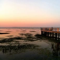 Emiquon National Wildlife Refuge