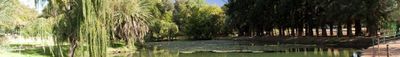 Panoramic View 0