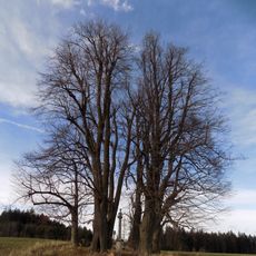 Lípy na Božích mukách