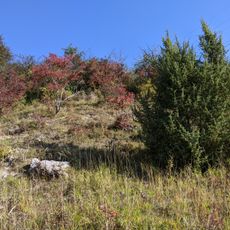 Stráně u Kochánek