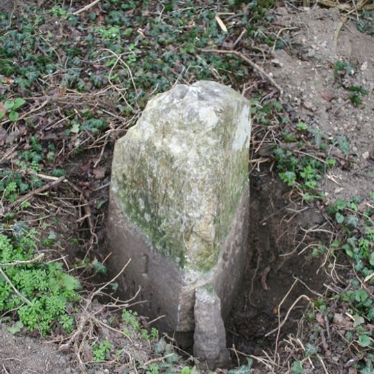 Milestone, the old road down White Hill, just below from house