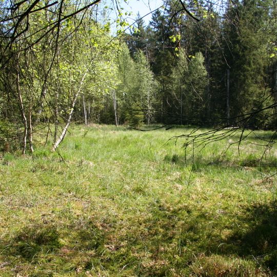 Moor an der Roten Pfütze