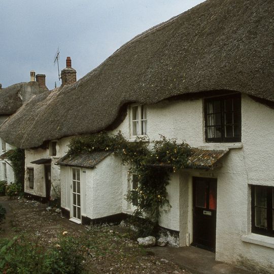 Rosecote  Verbena And Brook Cottage