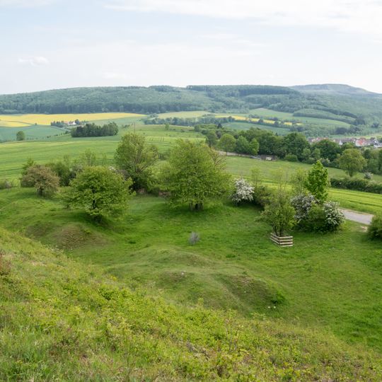 NSG Hecken- und Gruenlandkomplex auf der Sonnenborner Hochflaeche und dem Knappberg
