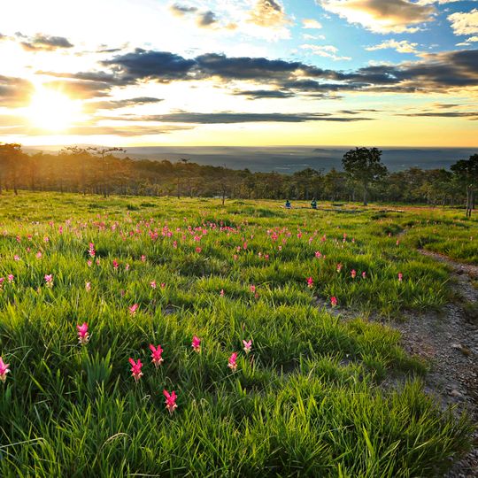 Parc national de Sai Thong