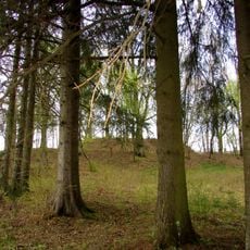 Gavēņi hillfort