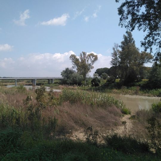 Puente de la AP-4 sobre el río Guadalete