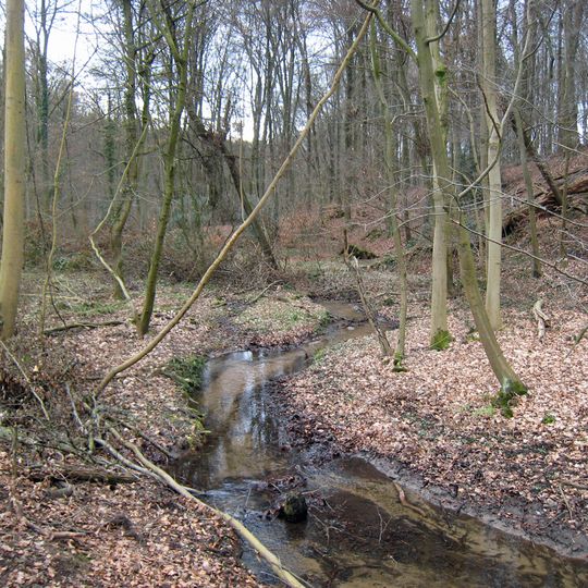 Bechsiefen und Hundberger Siefen