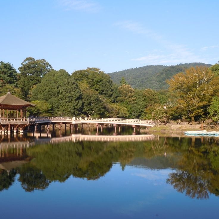 Nara Park