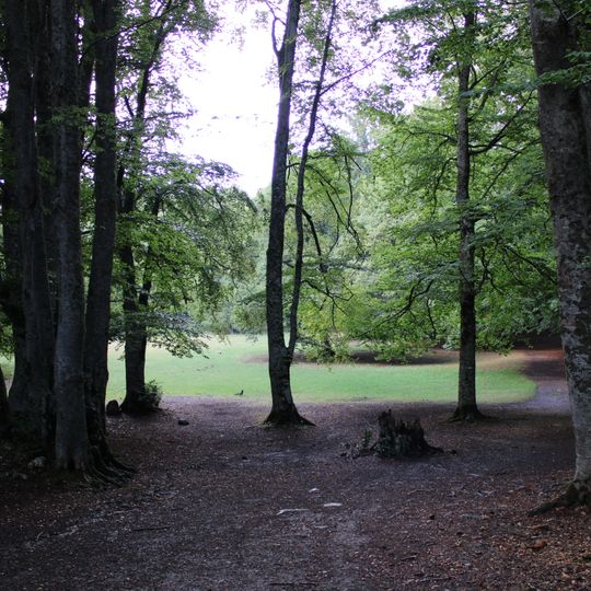 Riserva regionale Bosco di Sant'Antonio