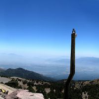 Colima