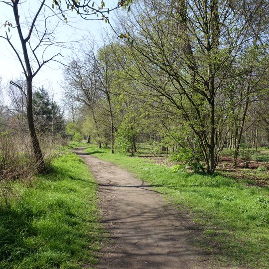 Square Anna-de Noailles