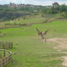 Ogród zoologiczny w Pradze