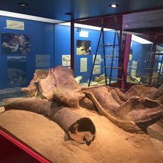 Malmerendi Museum of Natural Science