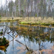 Kroshnozersky Spring