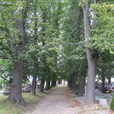 Lime avenue at Bolesławice cemetery