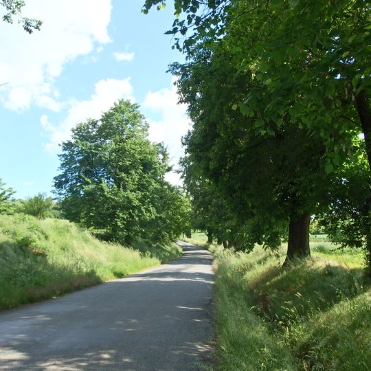 Lipo-jírovcová alej podél silnice k Novému dvoru