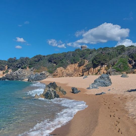 Plage d'Olmeto