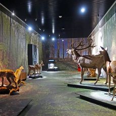 Valais Nature Museum (collection)